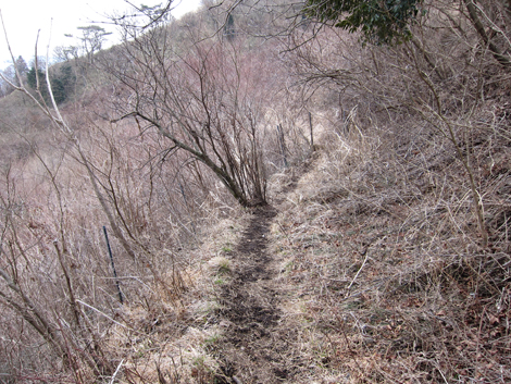 20190214hike (98)